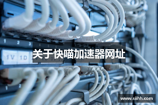 关于快喵加速器网址